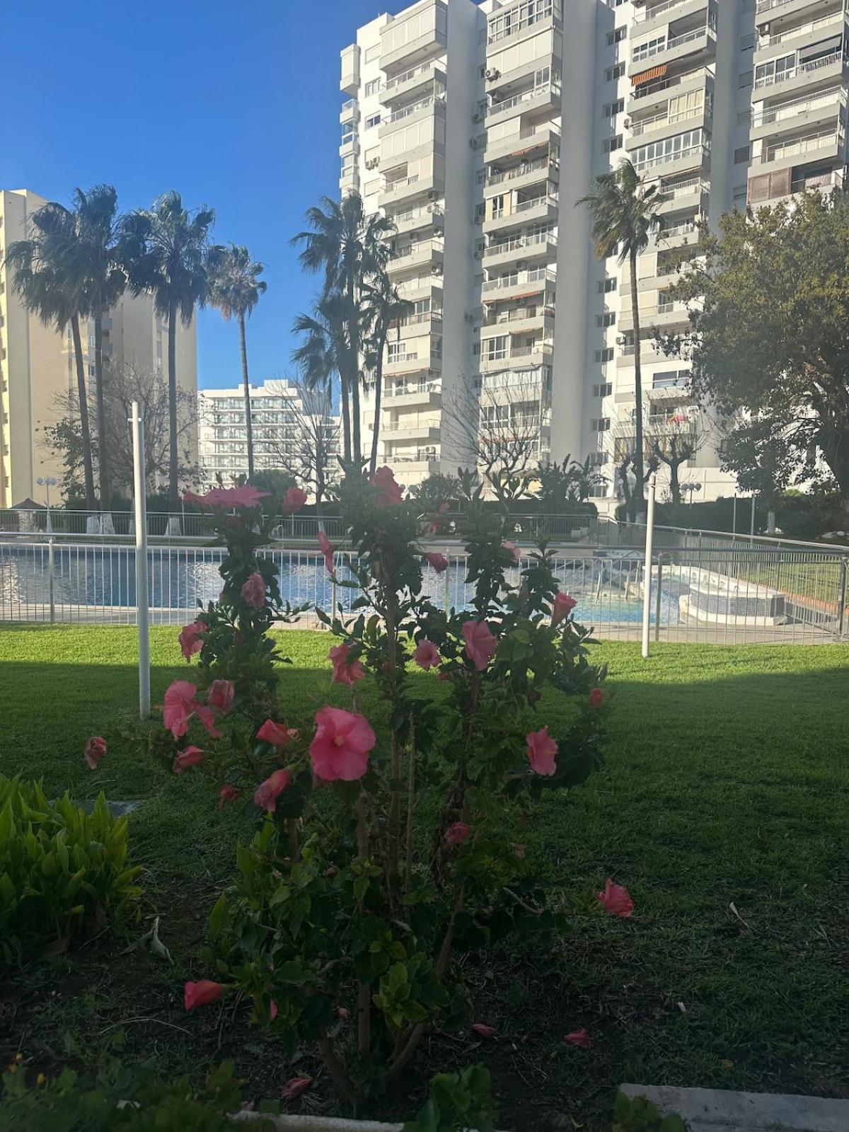 By Diana 2 Benalmádena